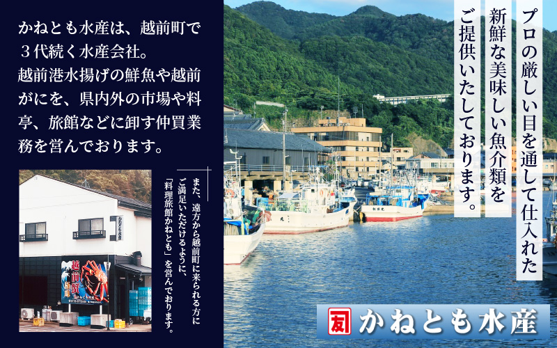 【ANA限定】≪浜茹で≫越前がに 特大サイズ 2杯（生で1杯1kg～1.2kg以上）食べ方しおり付【 雄 ズワイガニ かに カニ 蟹 越前ガニ 姿 ボイル 冷蔵 福井県】【1月発送分】希望日指定可 備