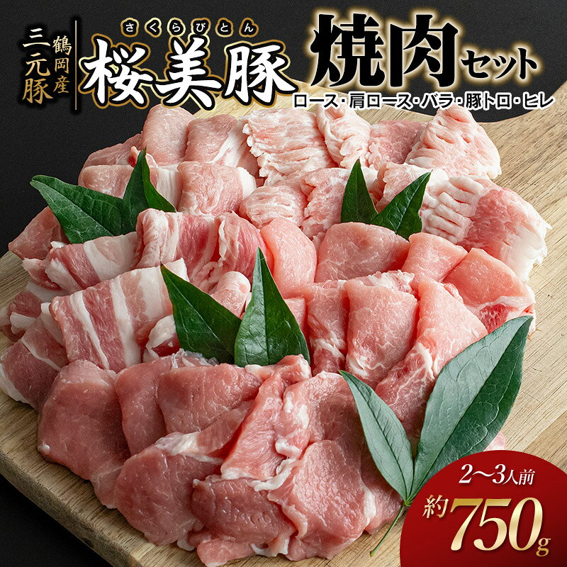 【ふるさと納税】鶴岡産三元豚「桜美豚」焼肉用セット（ロース・肩ロース・バラ・豚トロ・ヒレ）約750g（2～3人前） K-736　豚肉　長南牛肉店