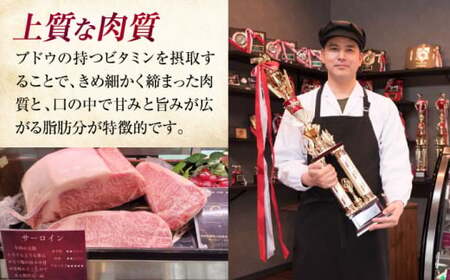 三次ワインビーフ ハンバーグ（130g×4個）三次市/三次ワインビーフ みーとのば[APAX002]