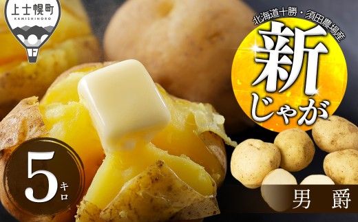 2026年産 先行予約 北海道産 新じゃが 男爵 5kg 北海道 上士幌町 須田農場 野菜 秋野菜 じゃがいも ジャガイモ 馬鈴薯 産地直送 ◆2026年9月中旬発送開始予定 ［008-V80］