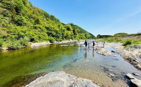 チケット キャンプ REDROCKキャンプ場 施設利用券 3,000円分 クーポン 商品券 キャンプ場 アウトドア 鹿沼市 日帰り 宿泊 バーベキュー BBQ 自然 入場券 優待券 体験チケット 