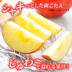 サンふじりんご 秀品 約5kg 12～20玉入 長野県産 果物類 林檎 りんご リンゴ フルーツ 小諸市