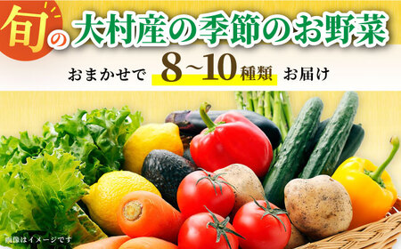 大村産とれたてお野菜おまかせセット(8～10種) 大村市 かとりストアー[ACAN015]