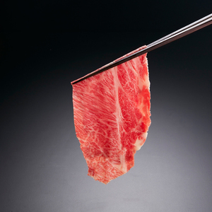 黒毛和牛 肩ローススライス 500g やまぐち和牛燦(きらめき) 下関市 山口 MJ