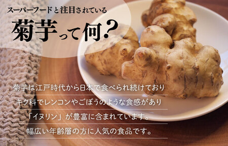 菊芋 パウダー 1kg（200g×5袋）SDGs エコ サスティナブル