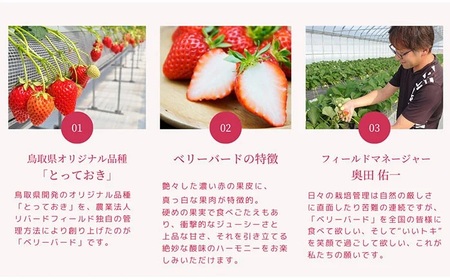 最高級ベリーバード 『絆』【期間･数量限定】_T2600406