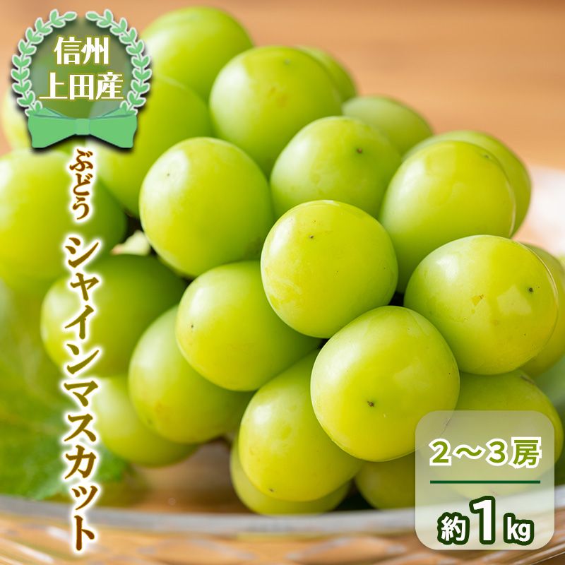 【ふるさと納税】シャインマスカット 信州上田産 2房～3房 約1kg ぶどう 葡萄 ブドウ マスカット 1kg 果物 くだもの フルーツ デザート 旬の果物 旬のフルーツ 長野県 長野　お届け：2026年9月下旬～10月中旬