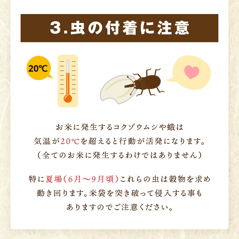 さがびより白米6kg(3kg×2袋) 086-B925_イメージ5