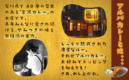 《金沢カレー》カレーの市民アルバ 600g×4袋 アルバ 金沢