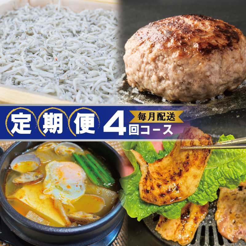 店主セレクト 食べ比べ 定期便 全4回（ハンバーグ／しらす／スンドゥブチゲ／サムギョプサル）【毎月配送コース】 G2902