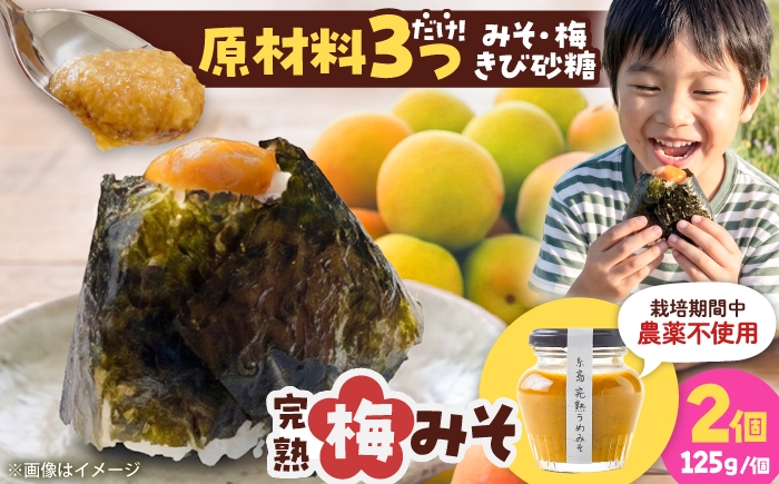 
                  糸島完熟うめみそ2個セット 糸島市 / 糸島げんき工房 [AKR004]
                