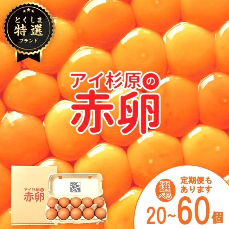 
            【10人中9人がリピートしてしまう生卵】 アイ杉原 赤卵 常温 サイズ 20個 ～ 60個（定期便も）（割れ保証含む）国産 徳島県産 鶏卵 【TSPROSPER】
          