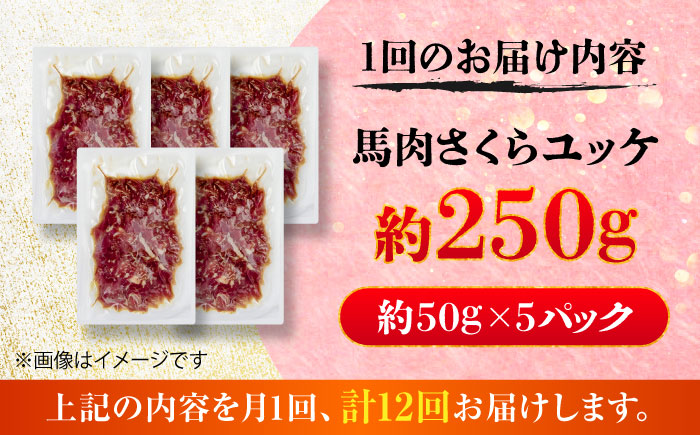 【全12回定期便】馬肉さくらユッケ 約250g(約50g×5パック) / 馬肉 ユッケ 馬刺しユッケ 小分け 生食用 熊本肥育 桜ユッケ 馬刺し 熊本県 おつまみ 晩酌 菊陽町【五右衛門フーズ】 [B