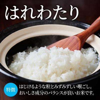 ふるさと納税 弘前市 米【特別栽培米】はれわたり 白米 5kg 青森県弘前市産|24_mft-030501 |  | 02