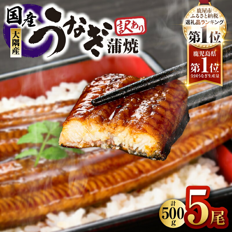 【ふるさと納税】【土用の丑の日特集】【訳あり】【数量限定】鹿児島県大隅産うなぎ蒲焼5尾（500g）たれ・山椒付き！うなぎ 鹿児島 本格 鰻 ウナギ 蒲焼 冷凍 湯煎 レンジ 解凍 簡単調理 鰻丼 鰻重 ひつまぶし 魚 土用の丑 小分け【大隅地区養まん漁業協同組合】