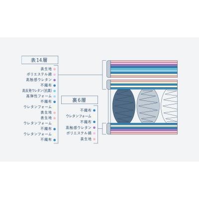 ふるさと納税 安芸高田市 ドリームベッド サータ トラディション ピローソフト1トップ6.8 ダブル[5895-0660] |  | 01