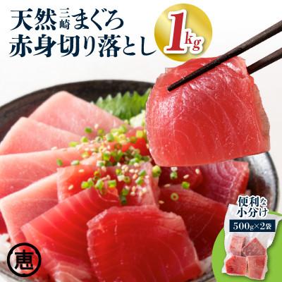 ふるさと納税 三浦市 天然三崎まぐろ 赤身切り落とし 1kg (500g×2袋)   お手軽な小分け 解凍レシピ付き