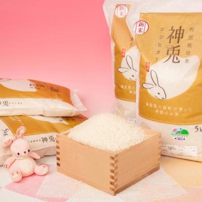 ふるさと納税 八頭町 【令和7年産米】特別栽培米コシヒカリ「神兎」20kg