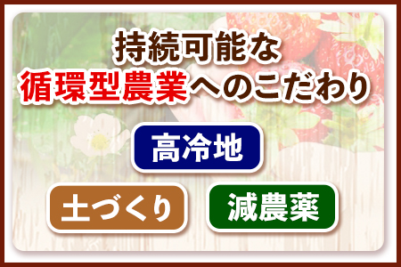 果実ぎっしり！木之内農園の手作りいちごジャム　2kg（1kg×2本）《60日以内に出荷予定(土日祝除く)》 熊本県南阿蘇村 イチゴ 苺 減農薬 大粒