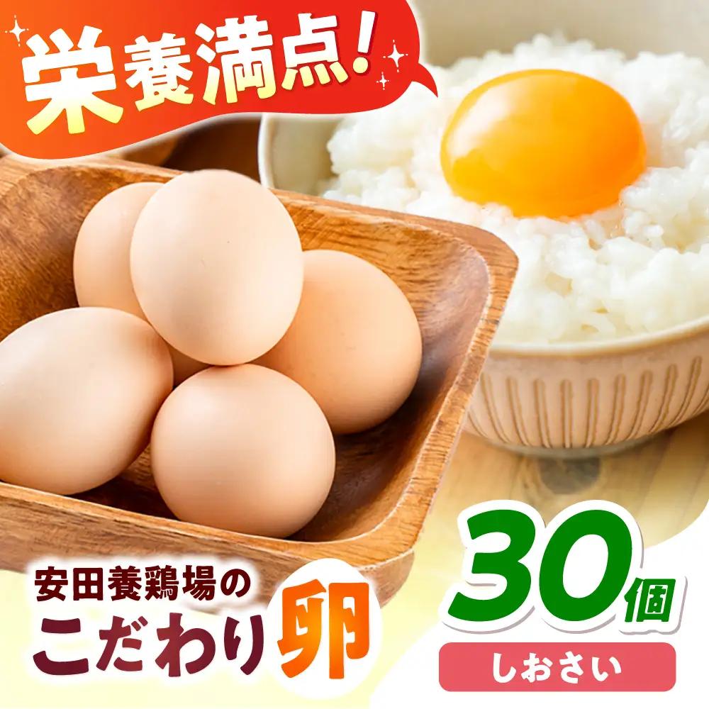 安田養鶏場の卵 しおさい 30個入り[AKHN001]卵