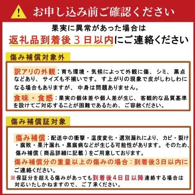  年 4回 訳あり 定期便 旬の柑橘 愛媛県 愛南町 定期便 （ まどんな ・ 文旦 ・ 甘夏 ・ 河内晩柑 ） 60,000円 四季 の 味覚 を 満喫 フルーツ サブスク 産地直送 農家直送 旬 