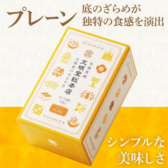 【12回定期便】 カステラ 2種 プレーン/チョコレート  [DBF018] カステラ