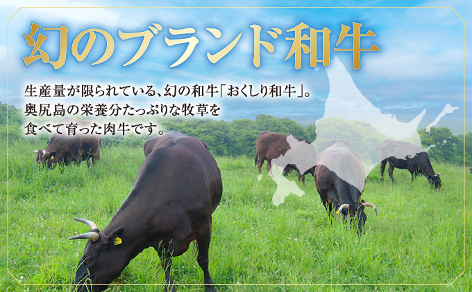 【希少!!黒毛和牛】おくしり和牛 サーロインステーキ 200g×2枚 | 北海道 奥尻町 送料無料