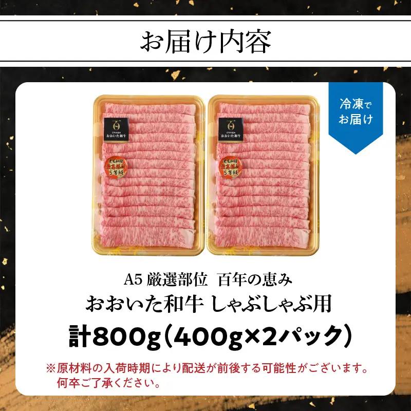 百年の恵み　おおいた和牛A5　しゃぶしゃぶ用【厳選部位】約800ｇ A01102