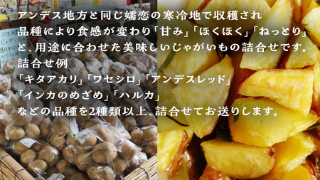 【 2025年 7月 発送開始 】 《3か月定期便》旬の野菜3種 419キャベツ 恵味トウモロコシ じゃがいも きゃべつ 嬬恋村産キャベツ 羽生田売店 幻のキャベツ419 産地直送 期間限定 先行予約