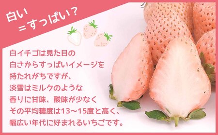 熊本玉名 白いちご「淡雪」(大玉限定400g)《化粧箱付》