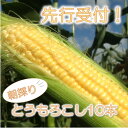 【ふるさと納税】マルカファームの朝採れ「とうもろこし」10本セット【配送不可地域：離島・沖縄県】【1404268】