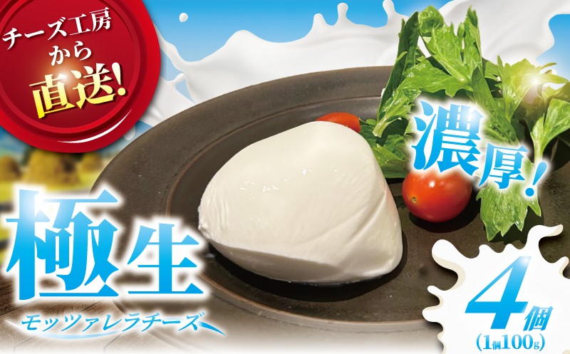 
            チーズ モッツァレラ チーズ ちーず cheese 4個 極生 モッツァレラチーズ  ナチュラルチーズ フレッシュチーズ ミルク 新鮮 出来立て 直送 ビール おつまみ おやつ 人気 ギフト お取り寄せ 10000円 贈り物 贈答 Aprotodo’S株式会社 RRAAP BREWERY 神奈川 湘南 藤沢
          