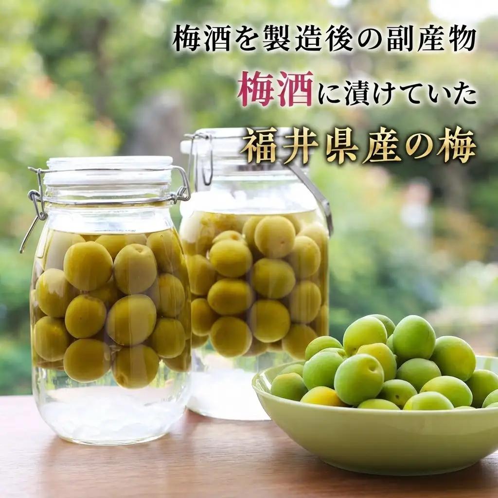 梅 10袋 梅酒 おやつ おつまみ つまみ ジャム 梅