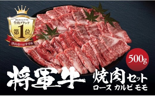 ＜将軍牛＞特選焼肉セット ロース カルビ もも 3種類 500g【1652110】