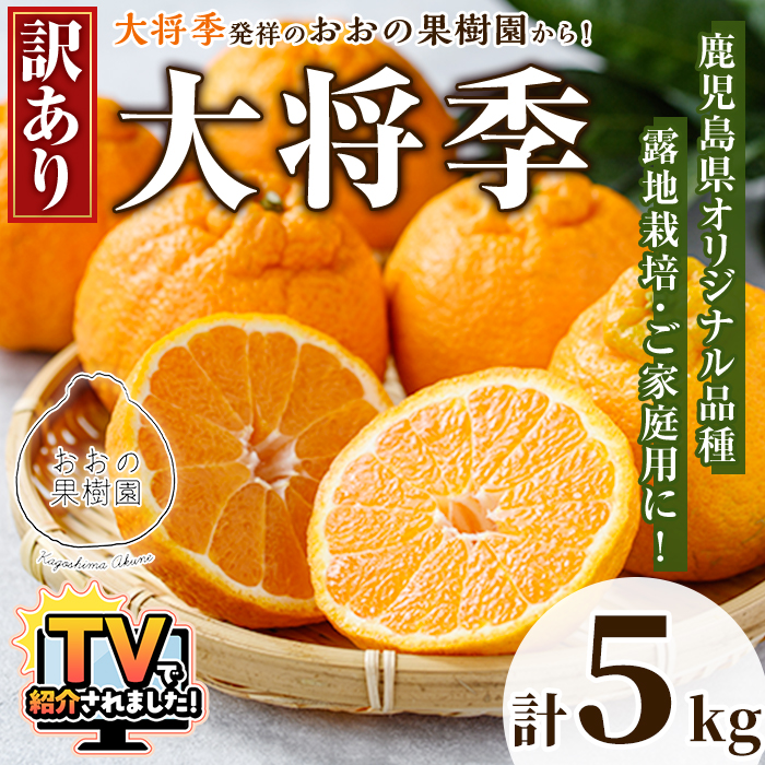 ＜先行予約受付中！2027年3月下旬以降順次発送予定＞ 数量限定！訳あり・ご家庭用！おおの果樹園の「大将季」(計5kg) 訳あり 訳アリ 果物 フルーツ 果実 柑橘 露地栽培 無加温 みかん 期間限定 家庭用 自宅用 【おおの果樹園】akn087-02
