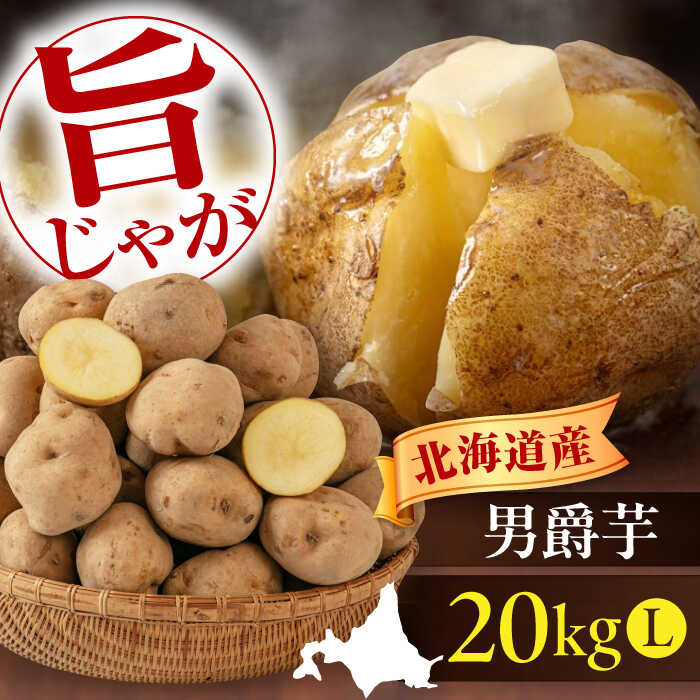 【ふるさと納税】【9月下旬以降順次発送】 新じゃが じゃがいも 男爵芋 20Kg 《喜茂別町》【Aコープようてい】 ジャガイモ じゃがいも 野菜 季節の野菜 詰め合わせ 北海道 産地直送 [AJAK009] 15000 15000円