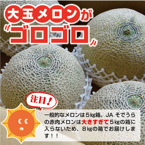 SB0843　大玉赤肉メロン　8kg以上(4～5玉入) つる無し
