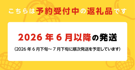 くるめで育った完熟マンゴー(3～5個：約1.8kg)_Fm012