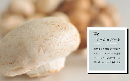 ビーフカレー 黒毛和牛 8袋 レトルト カレー ビーフカレー