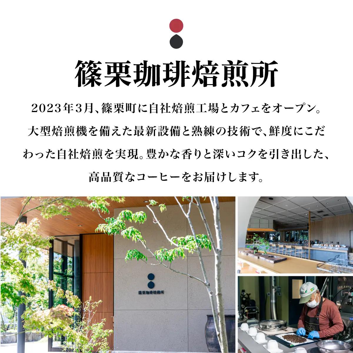 ボトルアイスコーヒー 500ml（箱入り）×2本【篠栗珈琲焙煎所】【AX06】 | ふるさと納税 アイスコーヒー ボトルコーヒー コーヒー 無糖アイスコーヒー 500ml 珈琲 スペシャルティコーヒー
