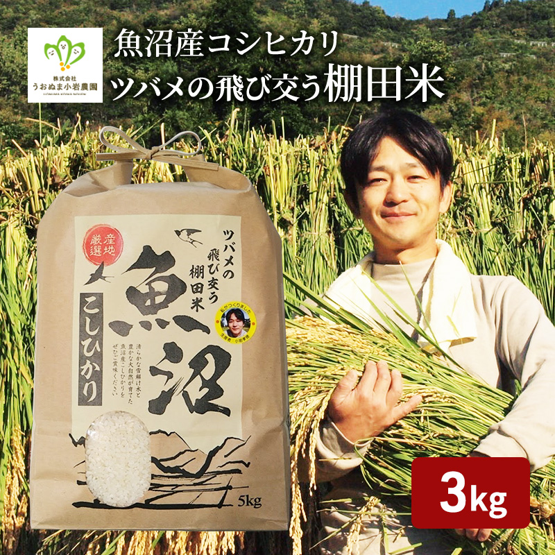 令和7年産 ツバメの飛び交う棚田米 精米3kg お米 白米 ライ
