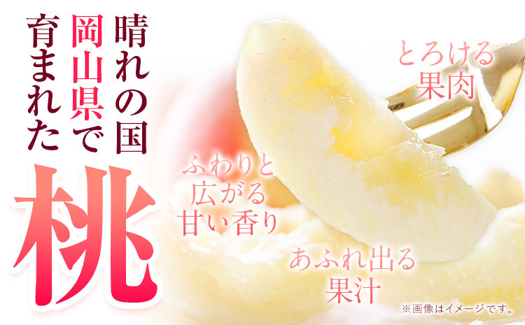 【2025年度分 先行予約】岡山の 桃 もも 1.3kg 4~8玉前後 岡山県産 ご家庭用《2025年6月下旬-9月上旬頃出荷》岡山県 浅口市 厳選出荷 白桃 黄桃 はなよめ 日川白鳳 白鳳 清水白桃