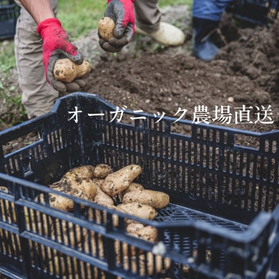 【毎月定期便】しあわせ野菜畑の有機野菜　Mセット　(安心の有機JAS認証　オーガニック野菜)全3回【配送不可地域：離島・北海道・沖縄県・四国・九州】