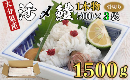 大分県産活じめ鱧（はも）1本物 骨切り切身 たっぷり 1500g 鱧 はも ハモ 鱧しゃぶ 湯引き 鱧鍋 鱧しゃぶセット 骨切り 鱧すき 天ぷら 鱧寿司 フライ 鱧ちり 鱧皮 天然鱧 冷凍 スピード発送 スピード ＜108-007_5＞