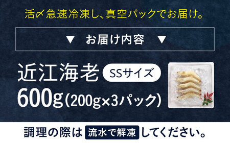 近江海老 600g(SSサイズ)[AQBA005]えび 近江海老 エビ