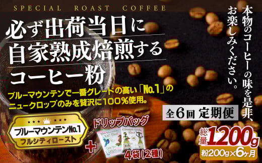 《定期便》必ず出荷日に自家熟成焙煎ブルーマウンテンNo.1粉(200g)＋ドリップバッグ4パック【6回お届け】