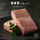 【ふるさと納税】宮崎牛三角バラ(大トロ)250g×2枚　焼肉のたれ220gセット