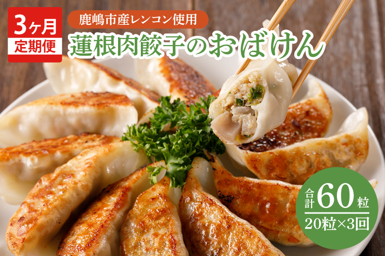 ＼先行予約／【3ヶ月定期便】蓮根肉餃子のおばけん【20粒×3回】【野菜 ギョーザ れんこん しゃきしゃき おいしい ストック 茨城県 鹿嶋市】（KBU-28）