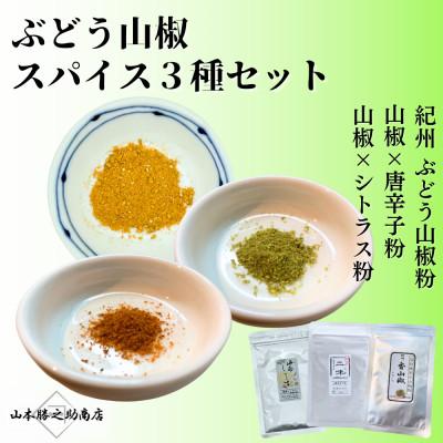ふるさと納税 海南市 【ぶどう山椒】スパイス3種セット