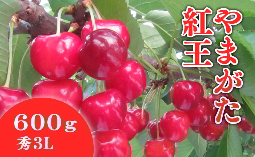 さくらんぼ(やまがた紅王)600g
